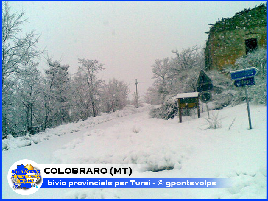 colobraro1